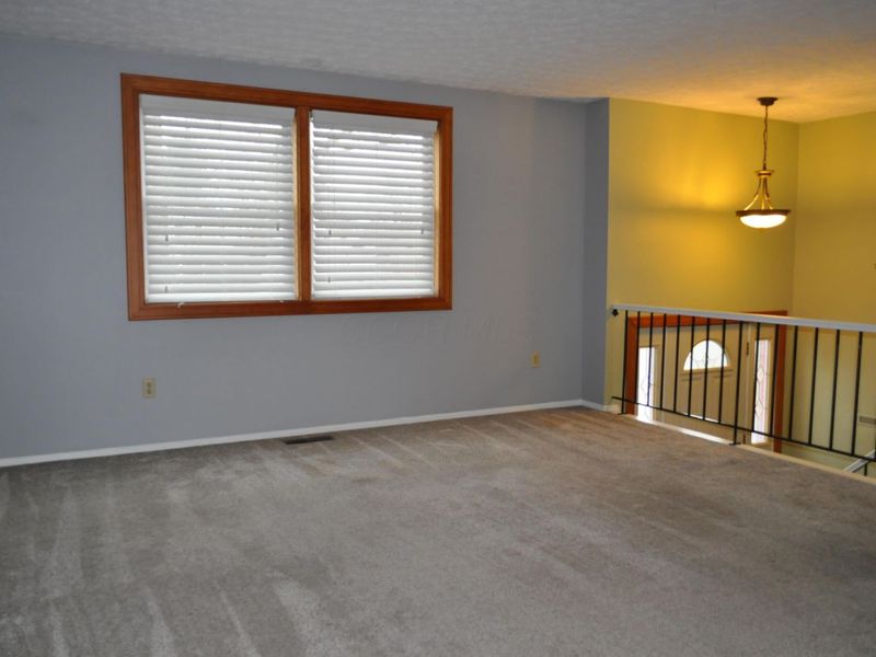 6348 Showy Court, Westerville, OH 43081 Photo 4