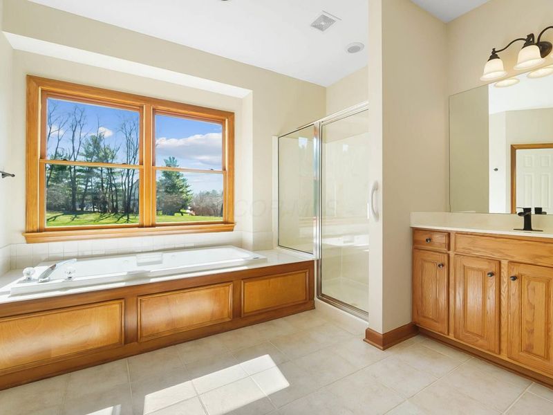 8591 Springflower Drive, Pickerington, OH 43147 Photo 45