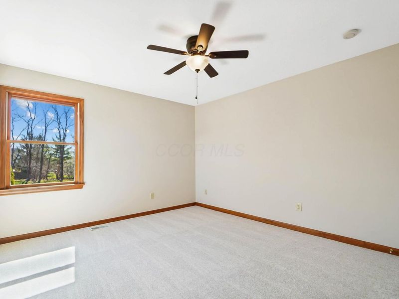 8591 Springflower Drive, Pickerington, OH 43147 Photo 54