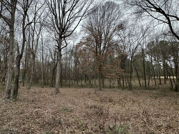 00 Futch Road, Forest, MS 39074