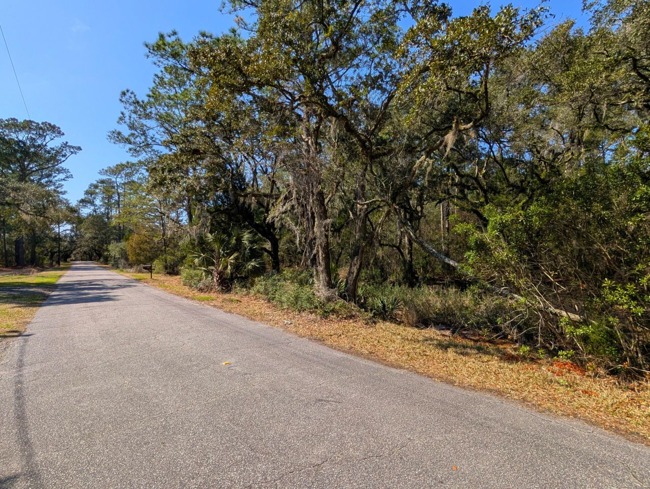 123 Cassena Street Photo 35