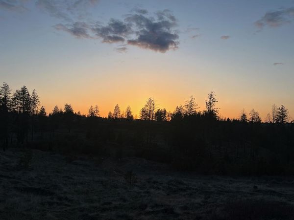 Parcel 3 Pine Hen Ln, Davenport, WA 99122