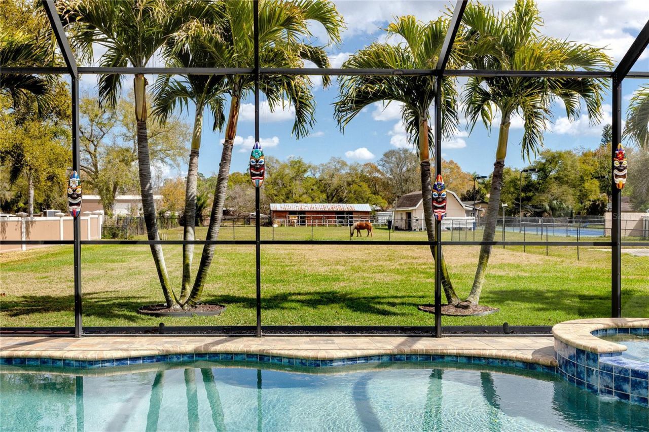 11155 131st Street, Largo, FL 33774 Photo