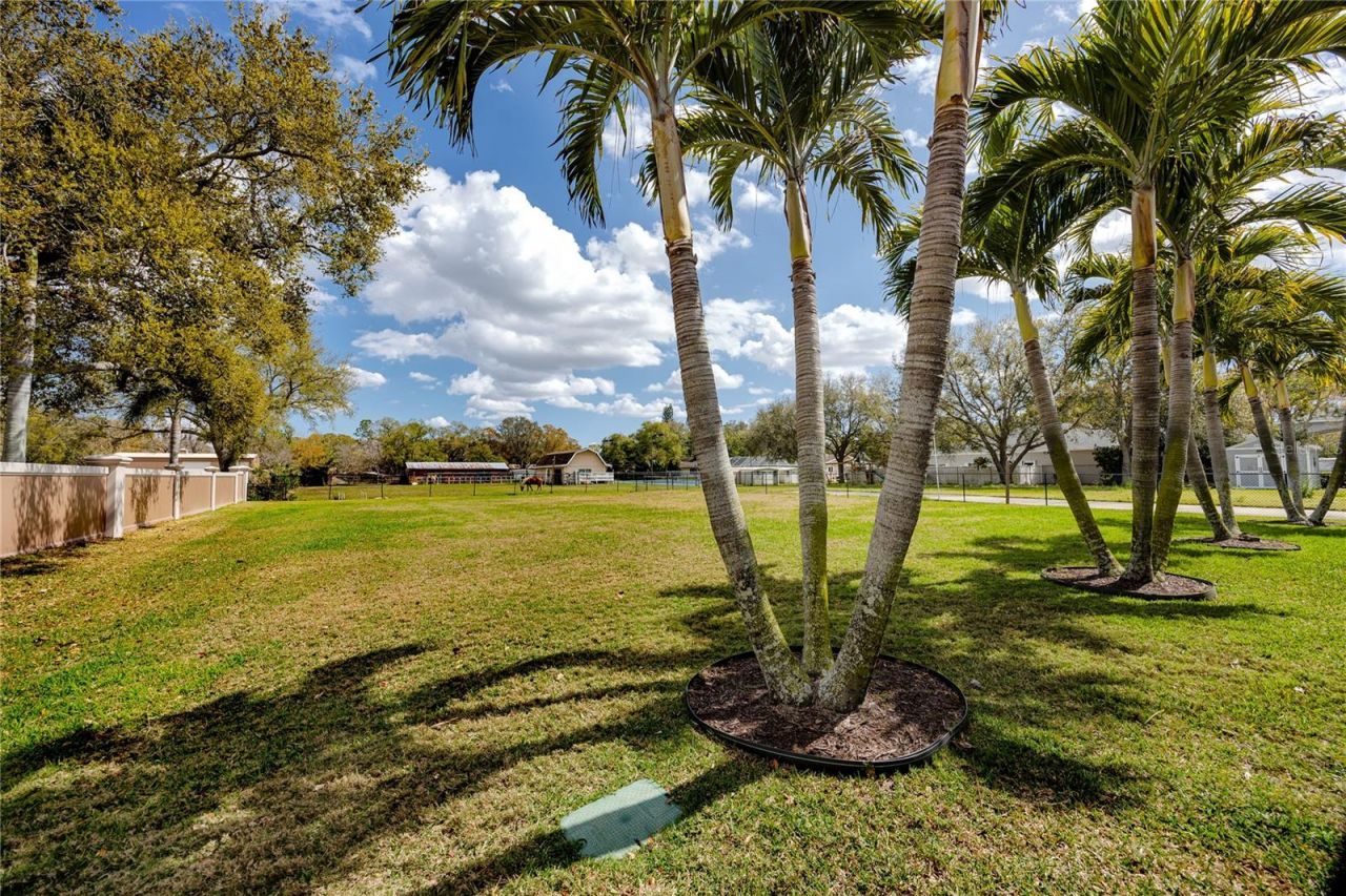 11155 131st Street, Largo, FL 33774 Photo