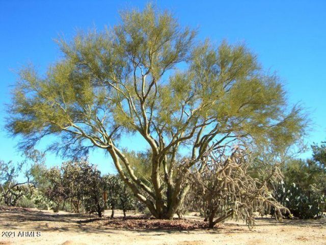 N 220TH Avenue, Surprise, AZ 85378