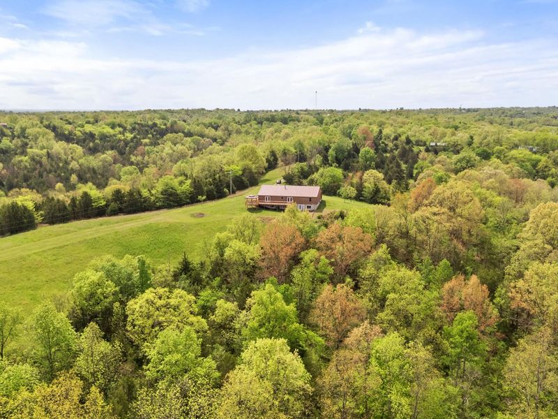 1266 Russell Cummins Road, Falmouth, KY 41040 Photo 40