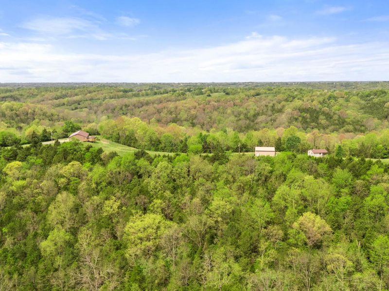 1266 Russell Cummins Road, Falmouth, KY 41040 Photo 43