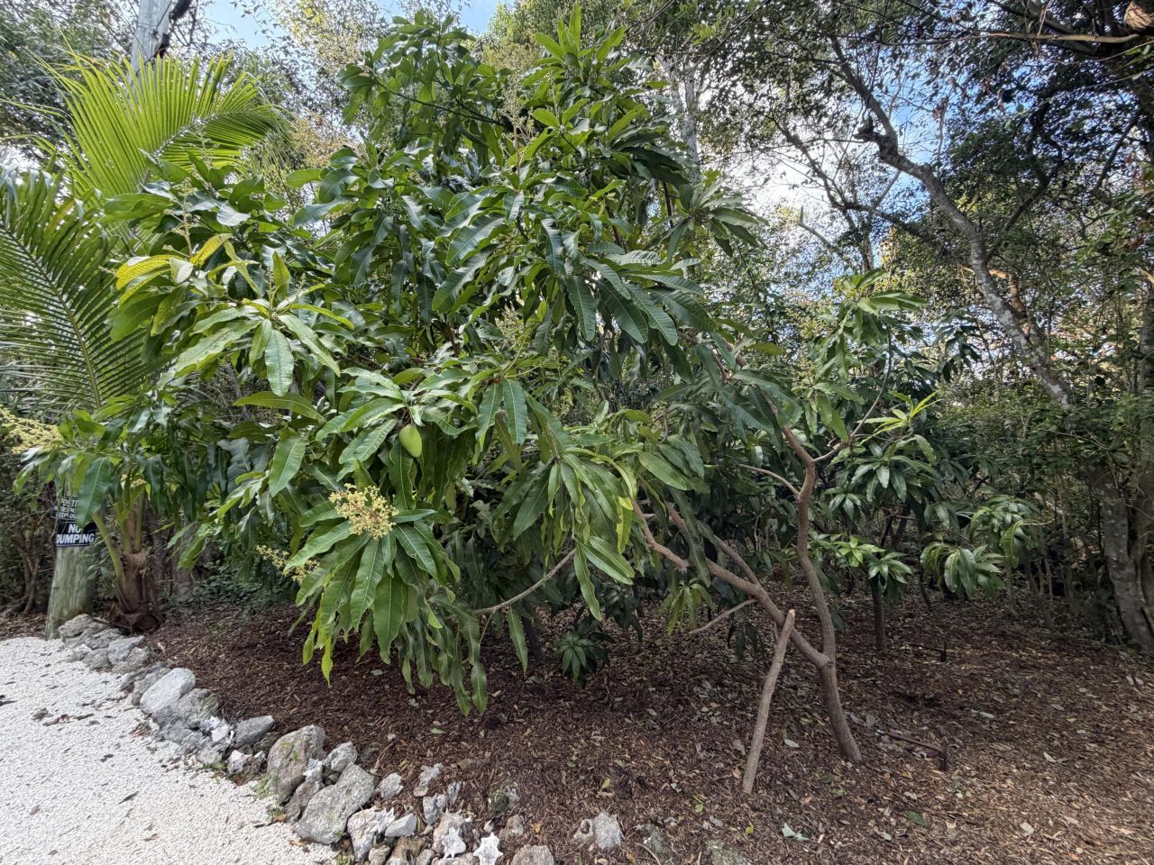 134 Artic Avenue, Tavernier, FL 33037 Photo