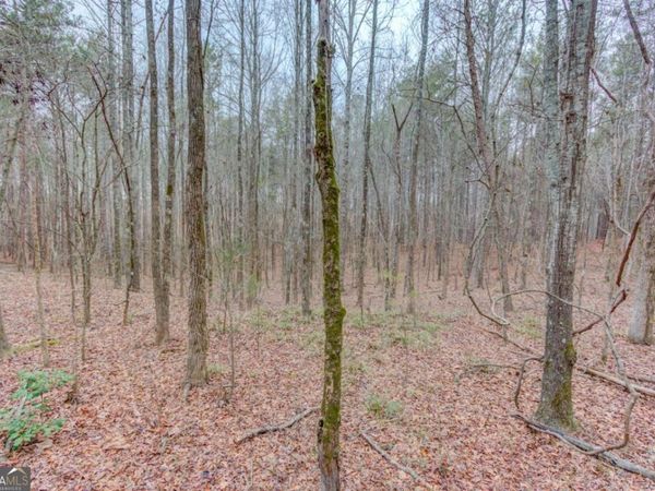 0 Sunshine Road, Toccoa, GA 30577