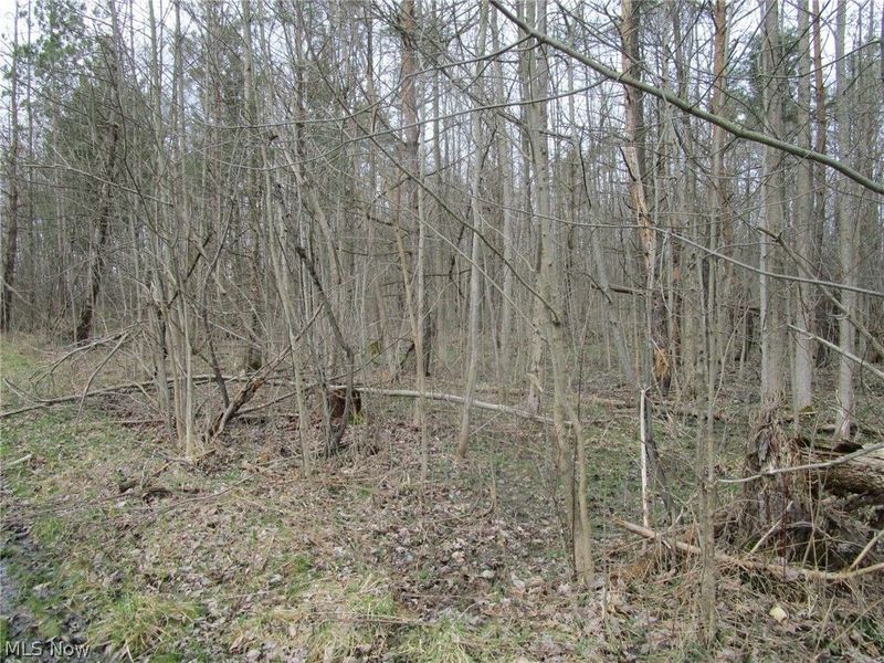 4381 Higley Road, Rome, OH 44085 Photo 16