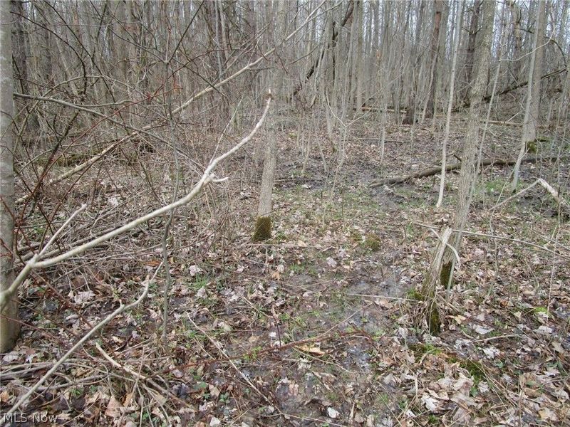 4381 Higley Road, Rome, OH 44085 Photo 17