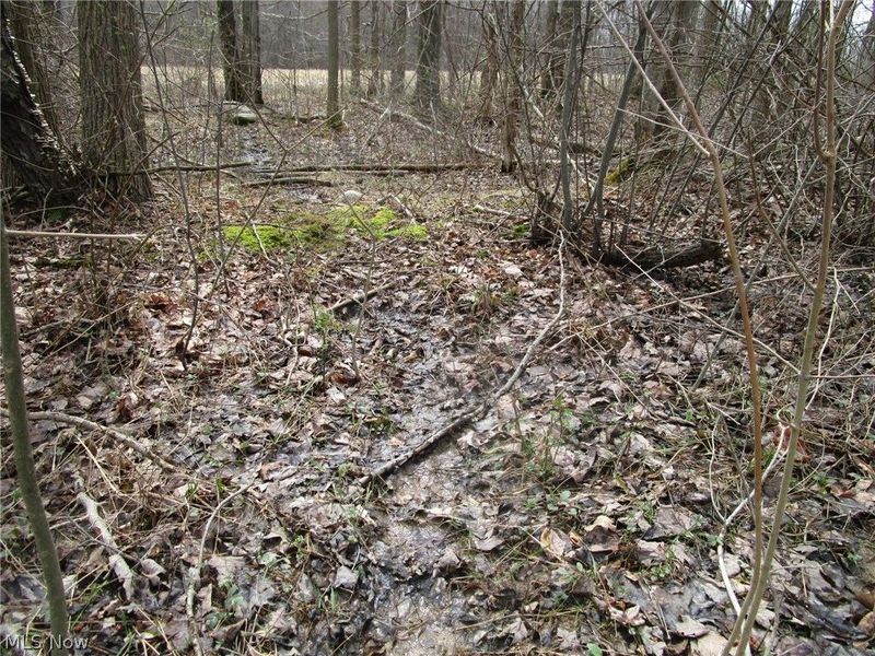 4381 Higley Road, Rome, OH 44085 Photo 19