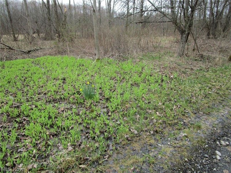 4381 Higley Road, Rome, OH 44085 Photo 2