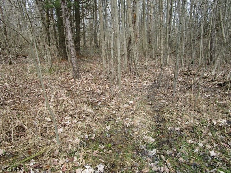 4381 Higley Road, Rome, OH 44085 Photo 20