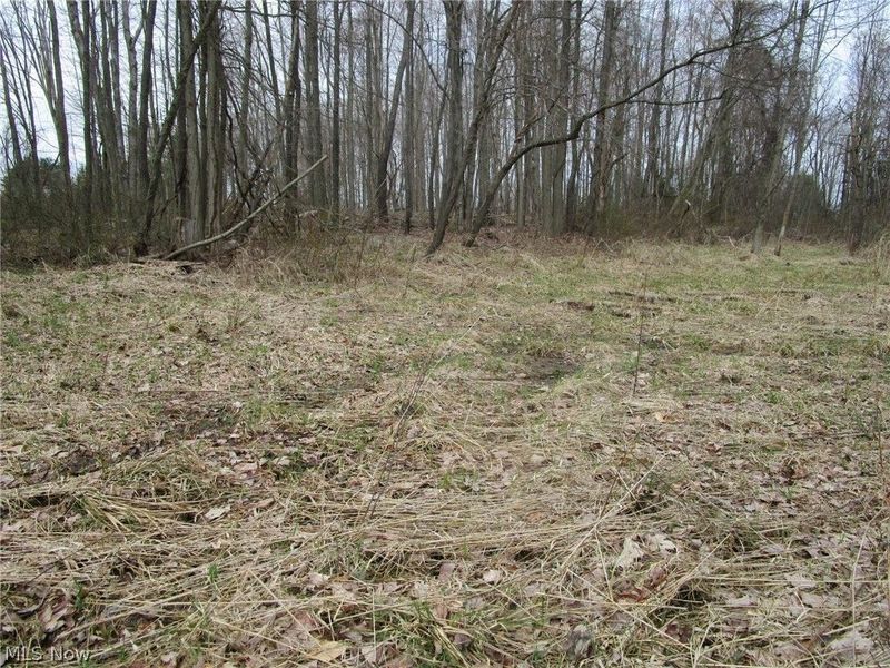 4381 Higley Road, Rome, OH 44085 Photo 21