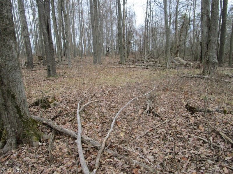 4381 Higley Road, Rome, OH 44085 Photo 22