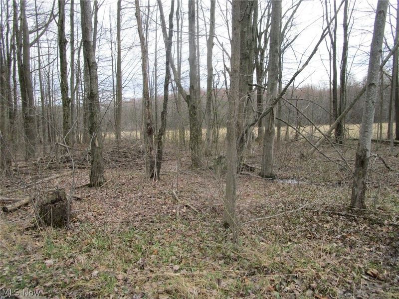 4381 Higley Road, Rome, OH 44085 Photo 23