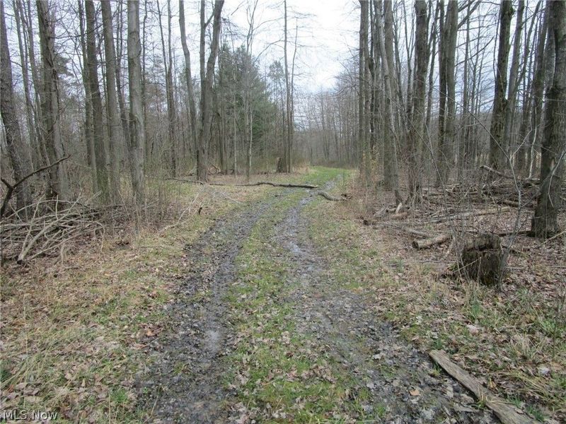 4381 Higley Road, Rome, OH 44085 Photo 24