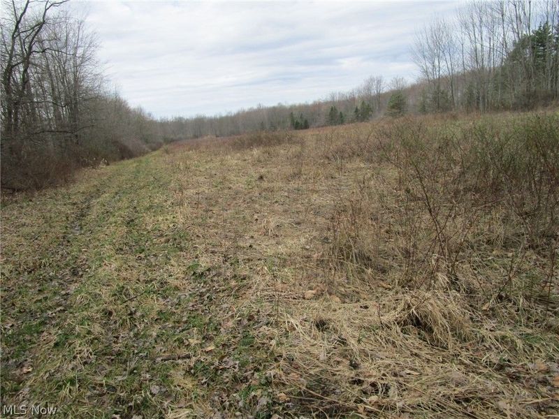 4381 Higley Road, Rome, OH 44085 Photo 25