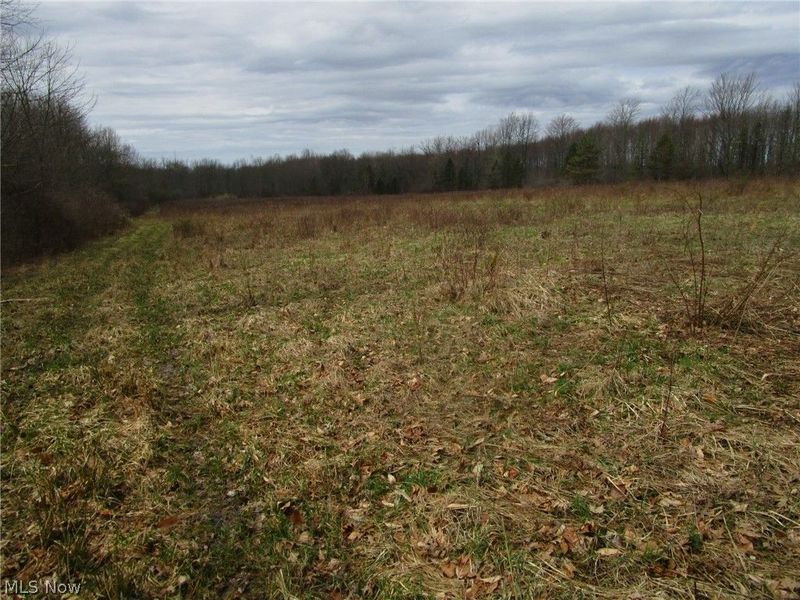 4381 Higley Road, Rome, OH 44085 Photo 26