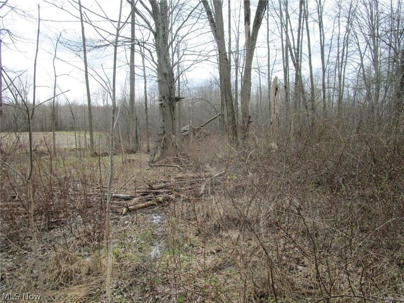 4381 Higley Road, Rome, OH 44085 Photo 27