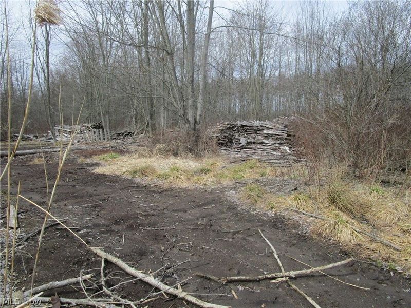 4381 Higley Road, Rome, OH 44085 Photo 28