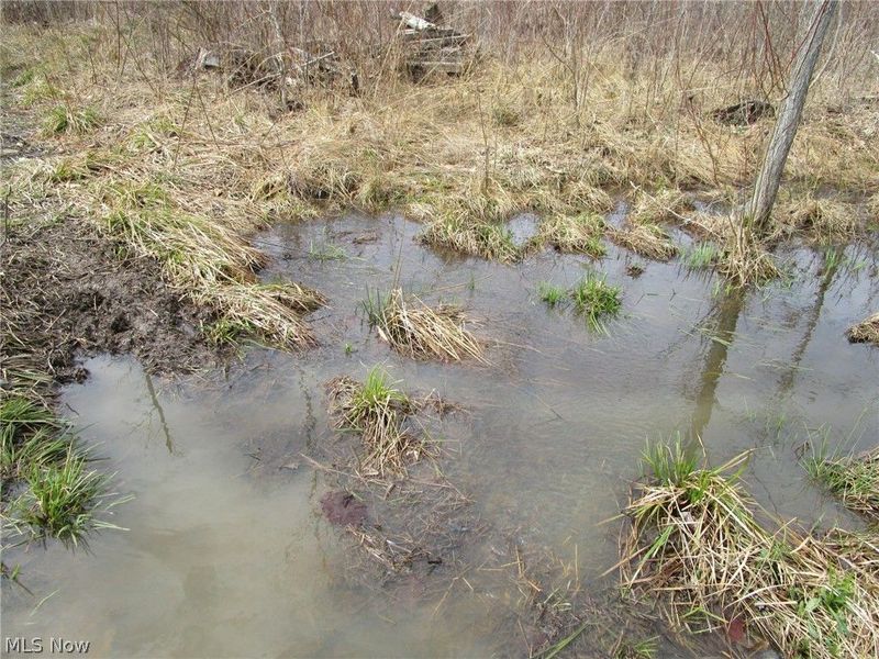 4381 Higley Road, Rome, OH 44085 Photo 30