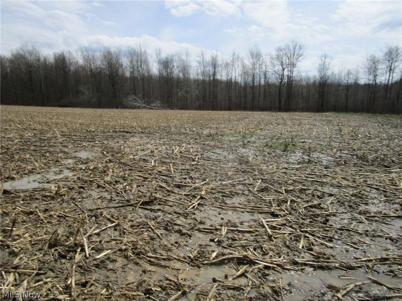 4381 Higley Road, Rome, OH 44085 Photo 31