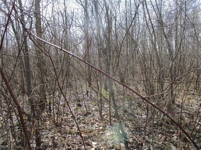 4381 Higley Road, Rome, OH 44085 Photo 34