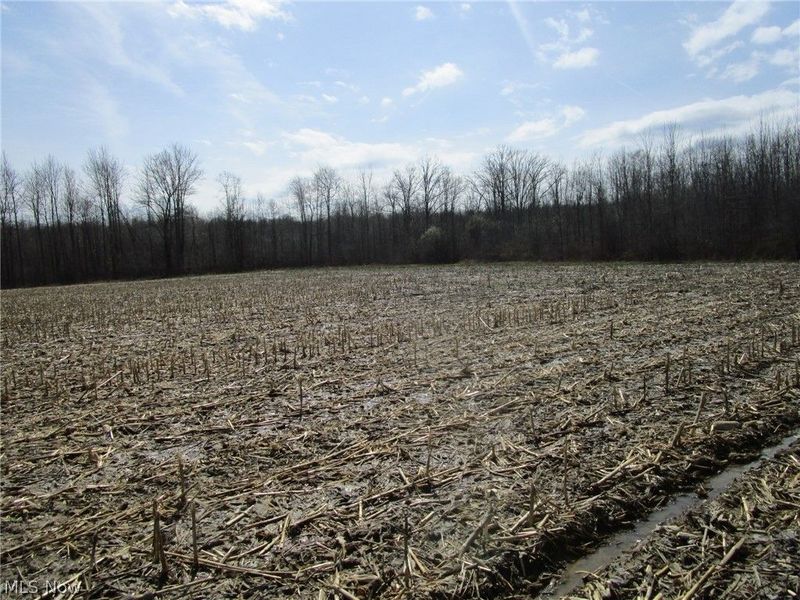 4381 Higley Road, Rome, OH 44085 Photo 35