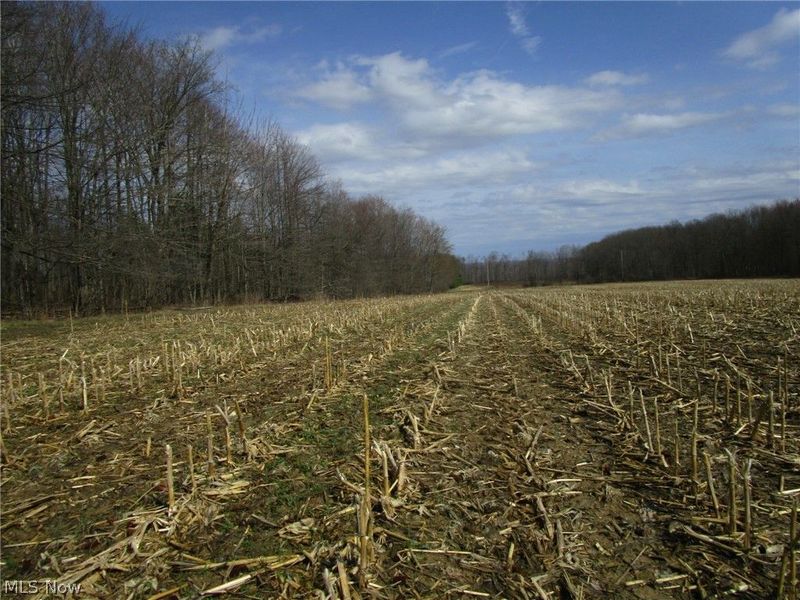 4381 Higley Road, Rome, OH 44085 Photo 36