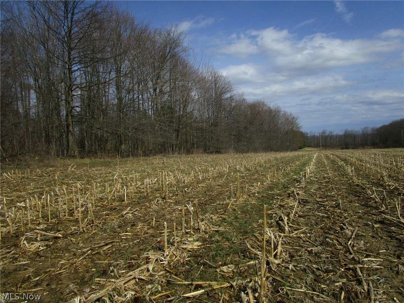 4381 Higley Road, Rome, OH 44085 Photo 37