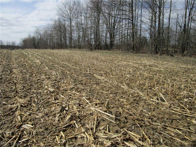 4381 Higley Road, Rome, OH 44085 Photo 38