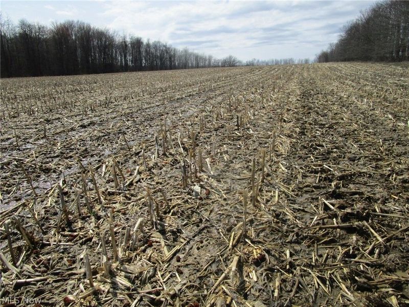 4381 Higley Road, Rome, OH 44085 Photo 39