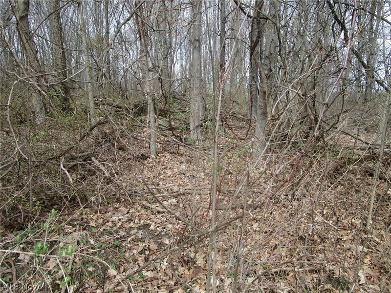 4381 Higley Road, Rome, OH 44085 Photo 9