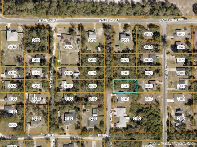 000 Pine Avenue, Orange City, FL 32763 Photo
