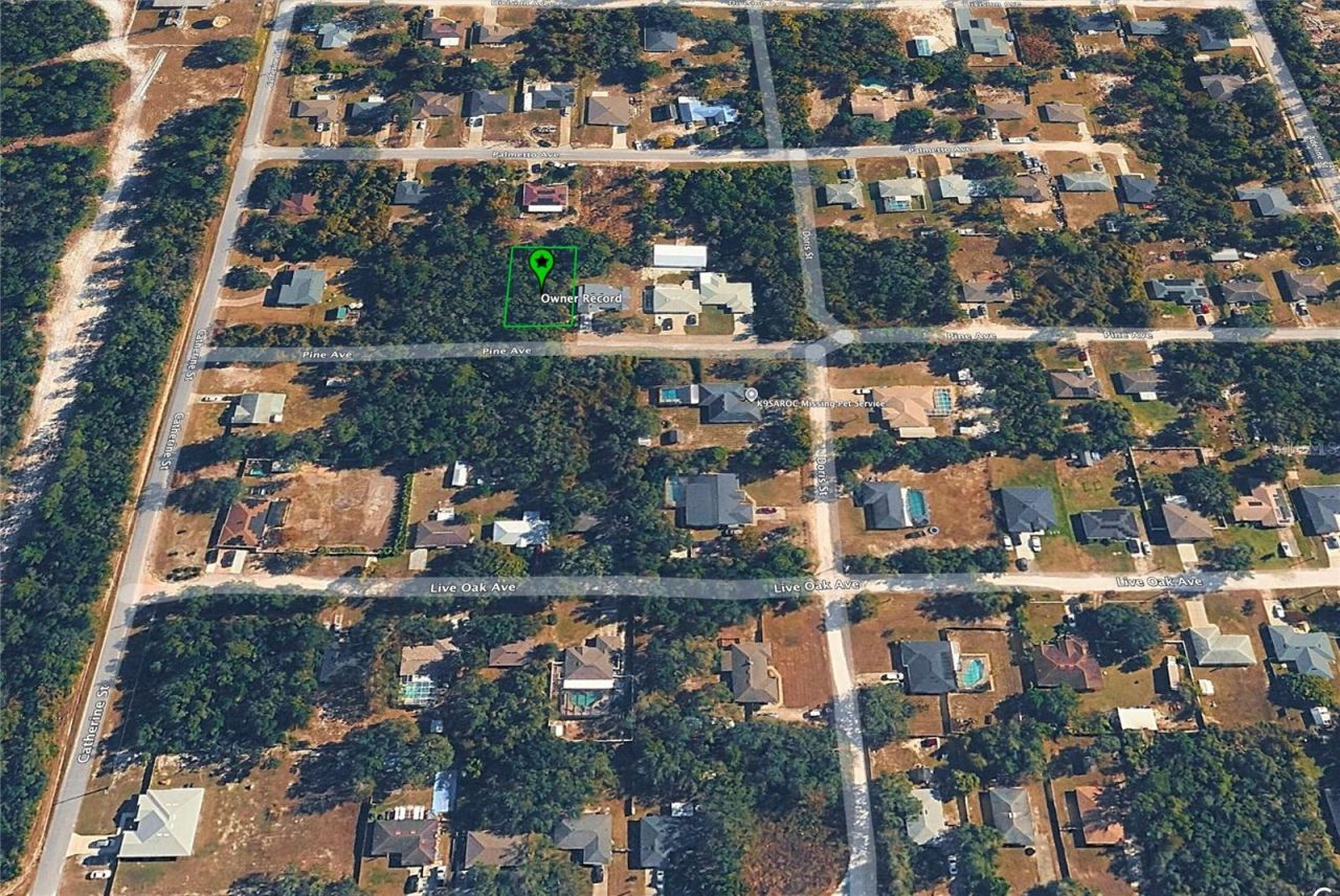 000 Pine Avenue, Orange City, FL 32763 Photo