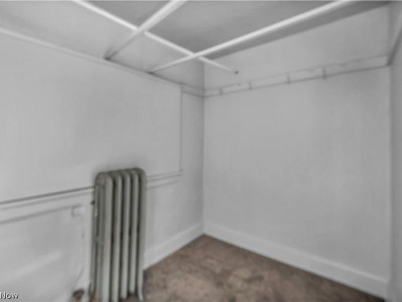 3513 E 110th Street, Cleveland, OH 44105 Photo 35