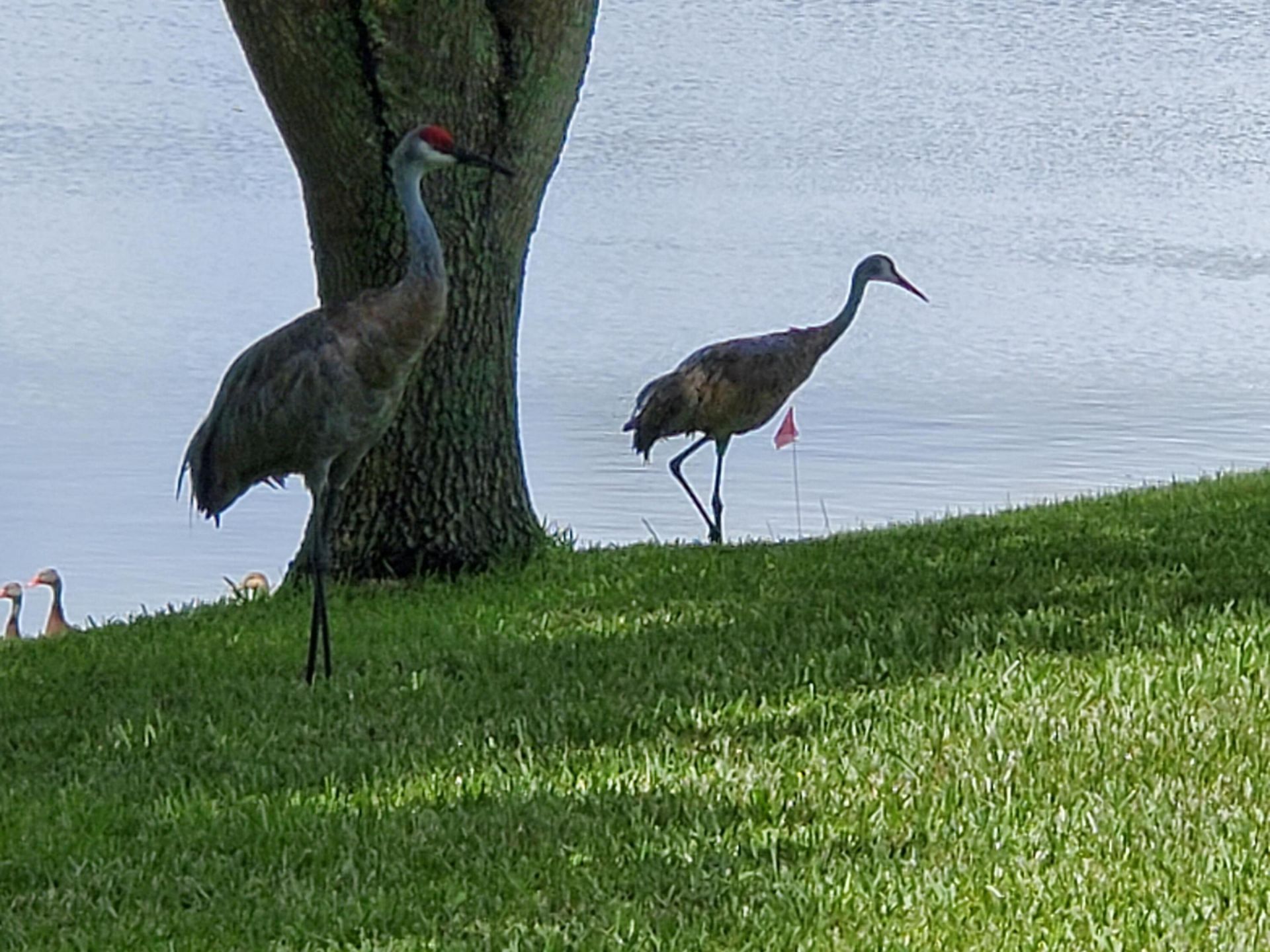 6711 Dickinson Terrace, Port Saint Lucie, FL 34952 Photo
