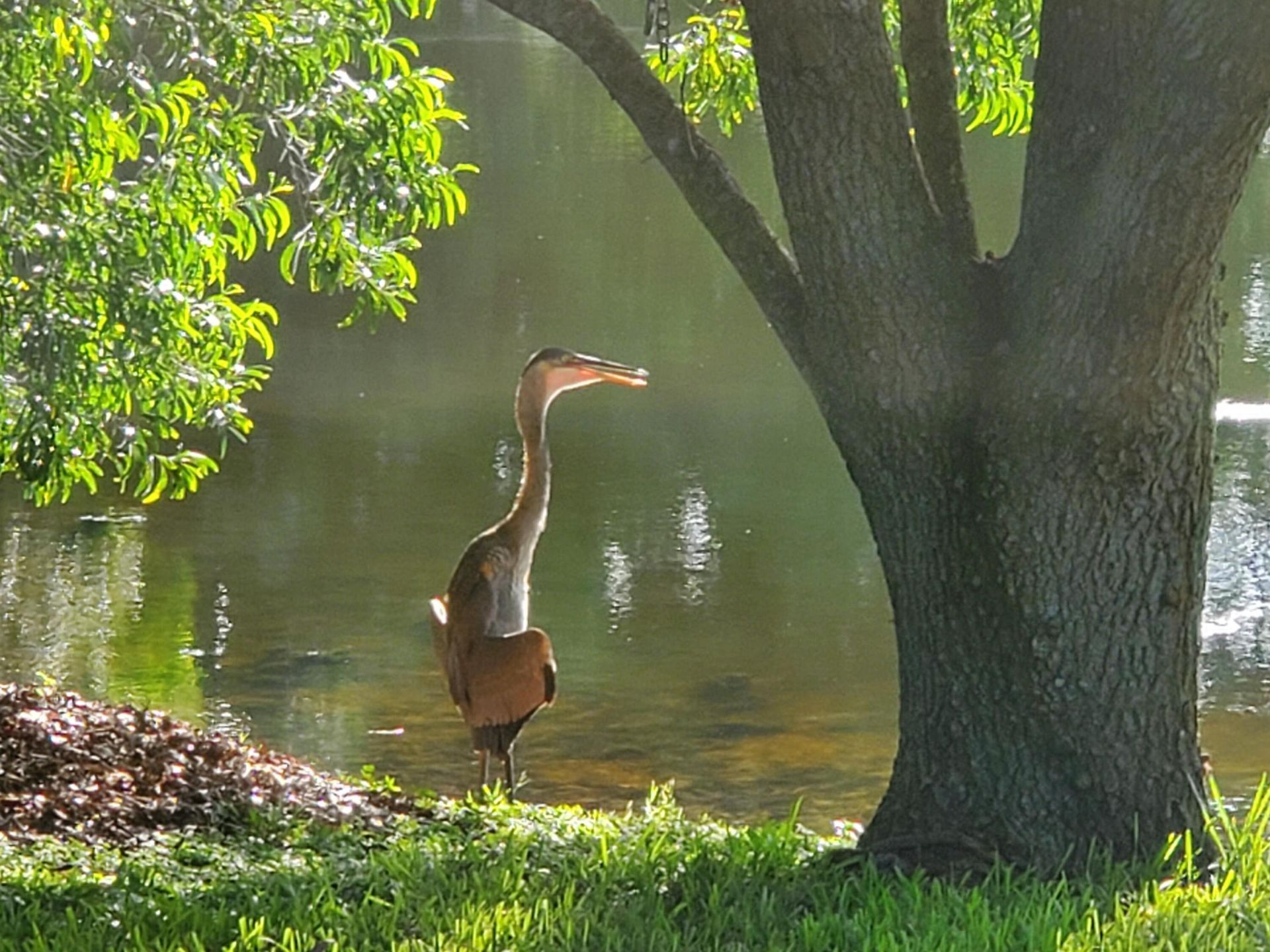 6711 Dickinson Terrace, Port Saint Lucie, FL 34952 Photo