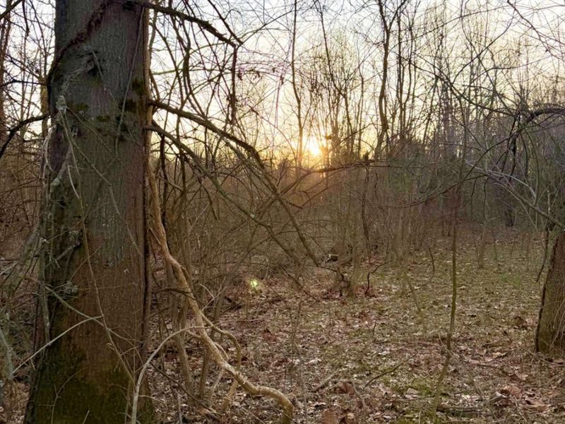 0 Martin Alexander Road, Jackson Twp, OH 45171 Photo 10