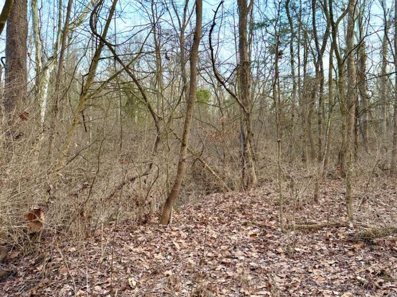 0 Martin Alexander Road, Jackson Twp, OH 45171 Photo 11