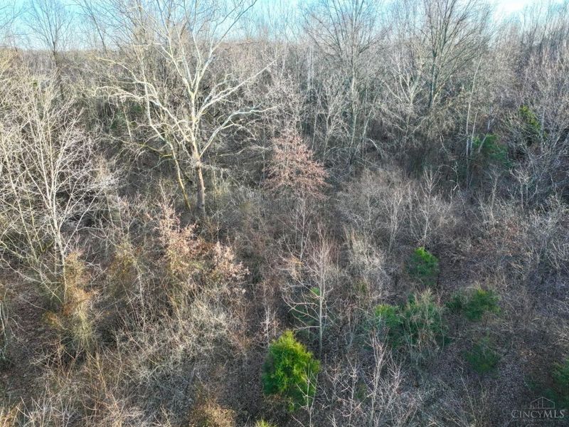 0 Martin Alexander Road, Jackson Twp, OH 45171 Photo 18