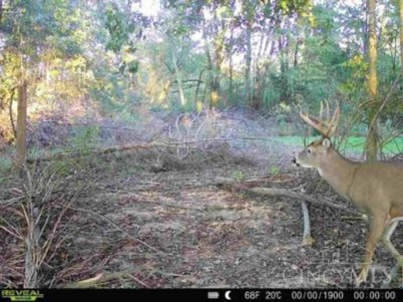 0 Martin Alexander Road, Jackson Twp, OH 45171 Photo 23