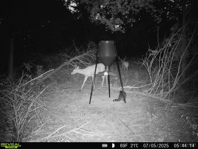 0 Martin Alexander Road, Jackson Twp, OH 45171 Photo 24