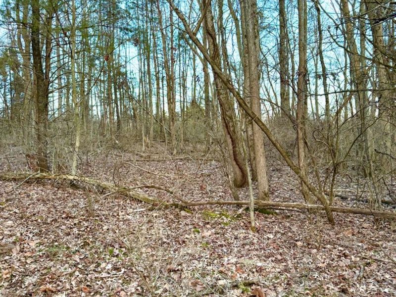 0 Martin Alexander Road, Jackson Twp, OH 45171 Photo 29