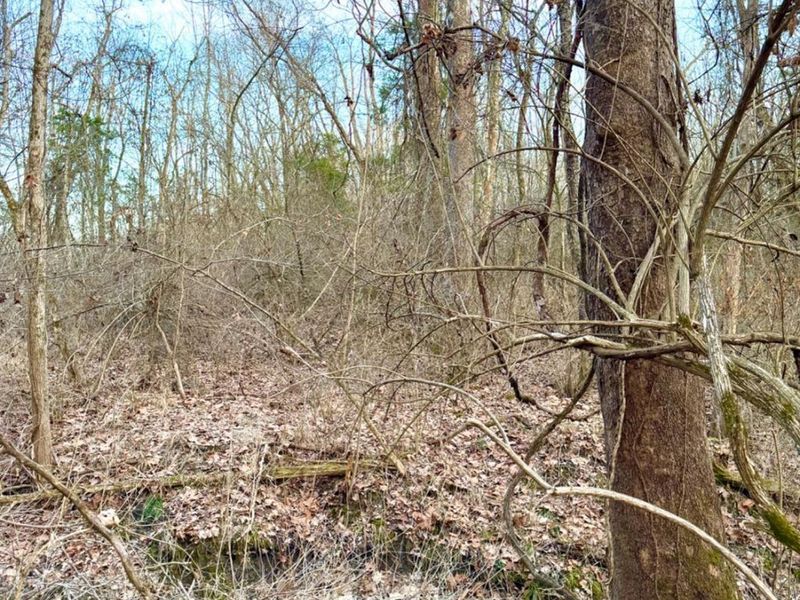 0 Martin Alexander Road, Jackson Twp, OH 45171 Photo 30