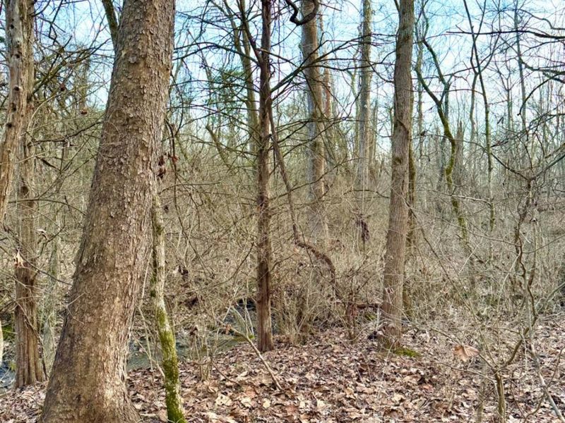 0 Martin Alexander Road, Jackson Twp, OH 45171 Photo 31