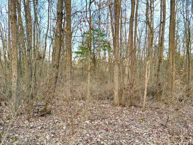 0 Martin Alexander Road, Jackson Twp, OH 45171 Photo 32