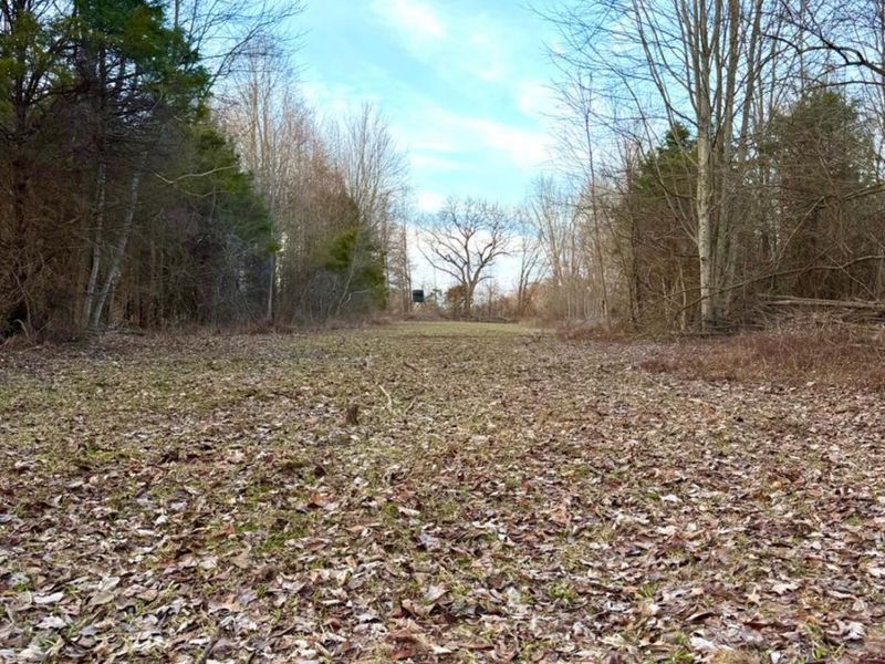 0 Martin Alexander Road, Jackson Twp, OH 45171 Photo 33